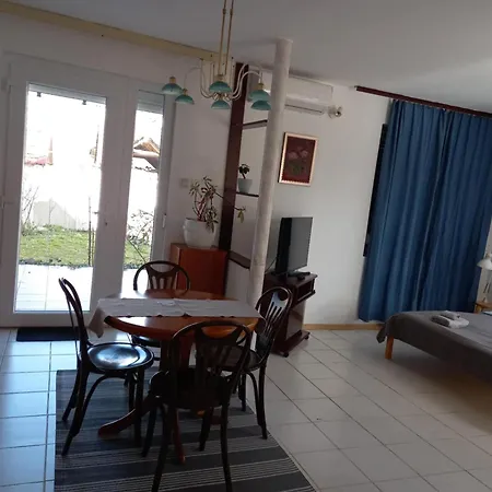 Sara Vendeghaz Szentes