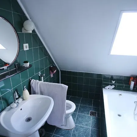 Gasthof Sara Vendeghaz *